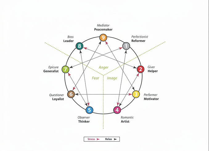 Pine tree growing from rock